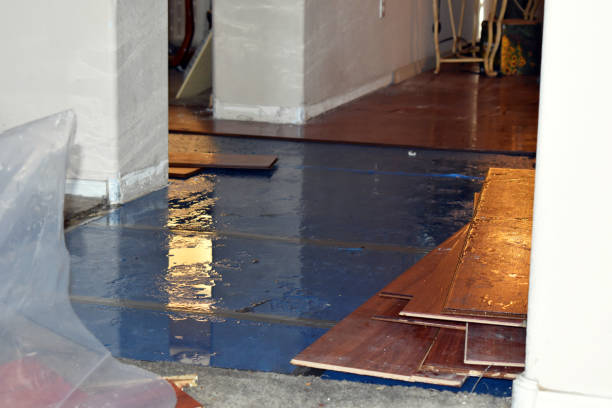 Professional Burst Pipe Cleanup technician working in Finley, TN